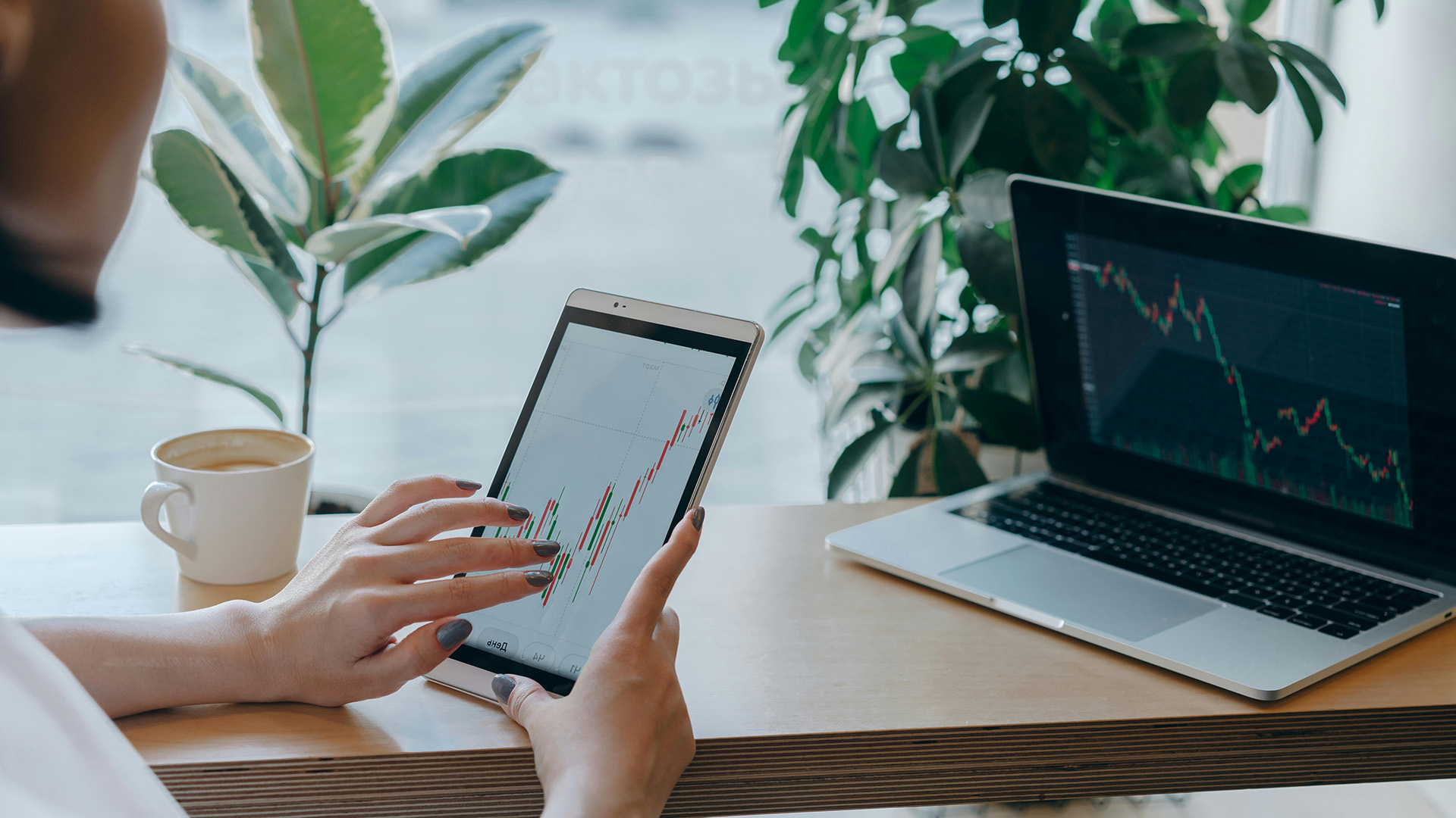 Vault Network Security